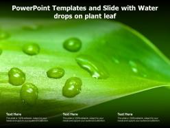 Powerpoint templates and slide with water drops on plant leaf