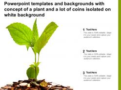 Powerpoint templates with concept of a plant and a lot of coins isolated on white background