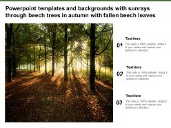 Powerpoint templates with sunrays through beech trees in autumn with fallen beech leaves
