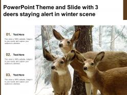 Powerpoint theme and slide with 3 deers staying alert in winter scene