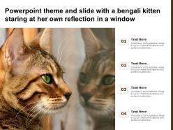 Powerpoint theme and slide with a bengali kitten staring at her own reflection in a window