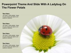 Powerpoint Theme And Slide With A Ladybug On The Flower Petals