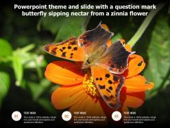 Powerpoint theme and slide with a question mark butterfly sipping nectar from a zinnia flower