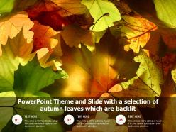 Powerpoint theme and slide with a selection of autumn leaves which are backlit
