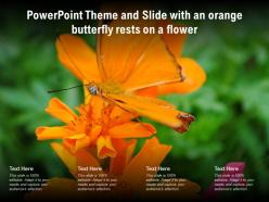 Powerpoint theme and slide with an orange butterfly rests on a flower