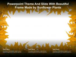 Powerpoint theme and slide with beautiful frame made by sunflower plants