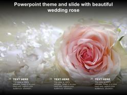 Powerpoint theme and slide with beautiful wedding rose