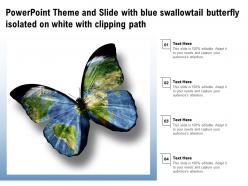 Powerpoint theme and slide with blue swallowtail butterfly isolated on white with clipping path