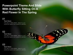 Powerpoint theme and slide with butterfly sitting on a red flower in the spring