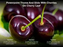 Powerpoint theme and slide with cherries on cherry leaf