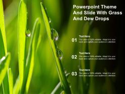 Powerpoint theme and slide with grass and dew drops