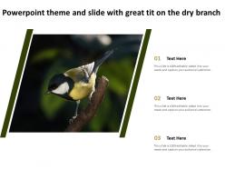 Powerpoint theme and slide with great tit on the dry branch