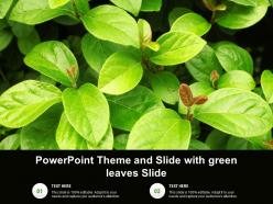 Powerpoint theme and slide with green leaves slide