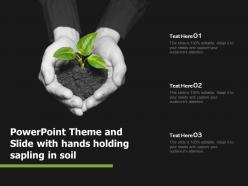 Powerpoint theme and slide with hands holding sapling in soil