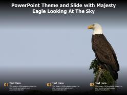 Powerpoint theme and slide with majesty eagle looking at the sky