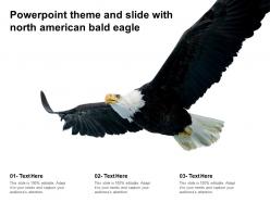 Powerpoint theme and slide with north american bald eagle