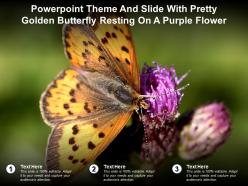 Powerpoint theme and slide with pretty golden butterfly resting on a purple flower