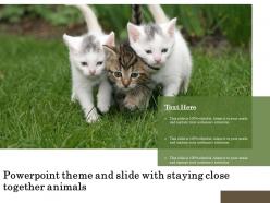 Powerpoint theme and slide with staying close together animals