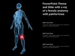 Powerpoint theme and slide with x ray of a female anatomy with painful knee