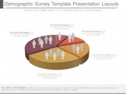 Ppt demographic survey template presentation layouts