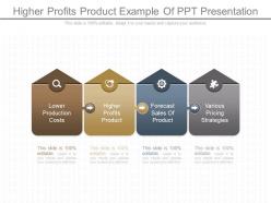 Ppt higher profits product example of ppt presentation