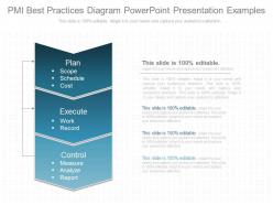Ppt pmi best practices diagram powerpoint presentation examples