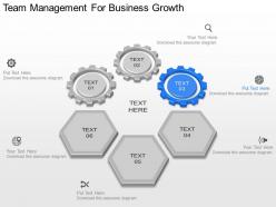 Ppt team management for business growth powerpoint template