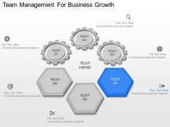 Ppt team management for business growth powerpoint template