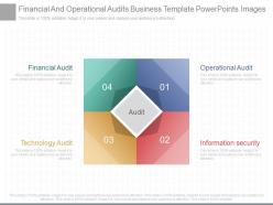 Ppts Financial And Operational Audits Business Template Powerpoints Images