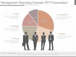 Ppts management reporting example ppt presentation