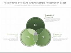Pptx accelerating profit and growth sample presentation slides