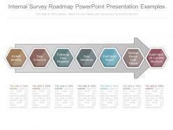 Pptx internal survey roadmap powerpoint presentation examples