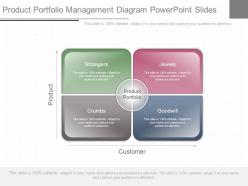Pptx product portfolio management diagram powerpoint slides