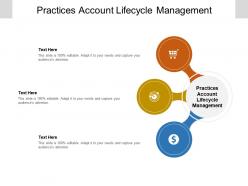 Practices account lifecycle management ppt powerpoint presentation summary introduction cpb