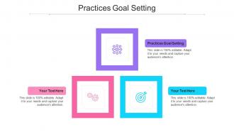 Practices Goal Setting Ppt Powerpoint Presentation Layouts Format Cpb