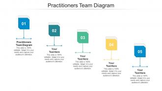 Practitioners Team Diagram Ppt Powerpoint Presentation Infographics Layout Cpb