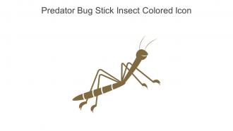 Predator Bug Stick Insect Colored Icon In Powerpoint Pptx Png And Editable Eps Format