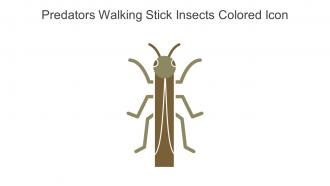 Predators Walking Stick Insects Colored Icon In Powerpoint Pptx Png And Editable Eps Format