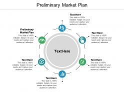 Preliminary market plan ppt powerpoint presentation infographic template example cpb
