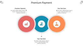 Premium payment ppt powerpoint presentation model elements cpb