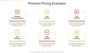 Premium Pricing Examples In Powerpoint And Google Slides Cpb