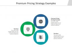 Premium pricing strategy examples ppt powerpoint presentation layouts rules cpb