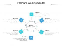 Premium working capital ppt powerpoint presentation layouts vector cpb