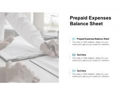 Prepaid expenses balance sheet ppt powerpoint presentation infographics good cpb