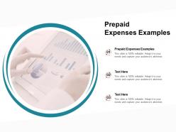 Prepaid expenses examples ppt powerpoint presentation icon template cpb