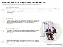 Present application programming interface issues established ppt design ideas