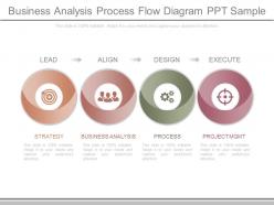 Present Business Analysis Process Flow Diagram Ppt Sample
