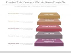 Present Example Of Product Development Marketing Diagram Example File