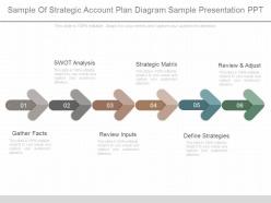 Present sample of strategic account plan diagram sample presentation ppt