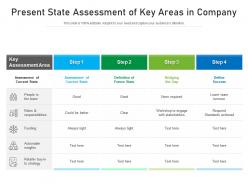 Present state assessment of key areas in company